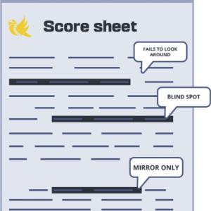 G2G Drive Test Score Sheet